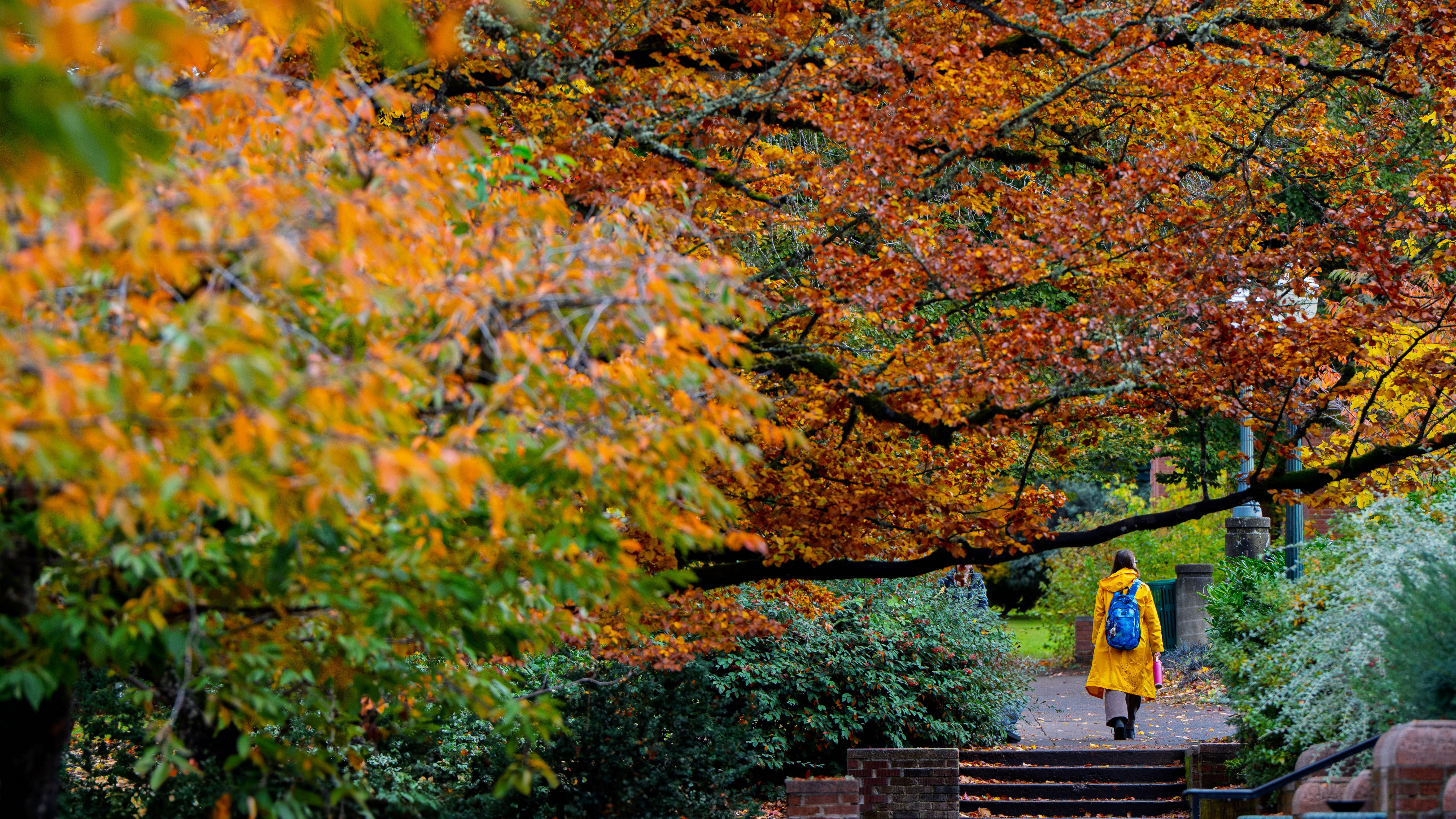 Student walking through UO campus with fall foliage in the foreground
